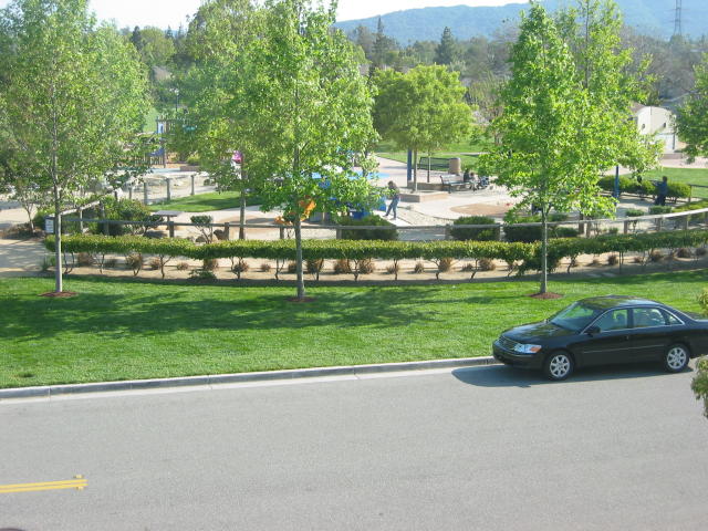 Picture of the park